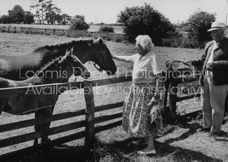 Actress Margaret Rutherford and husband Stringer Davis petting some horses.