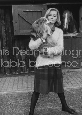 British fashion model Sandra Douglas-Home, with her sheepdog.