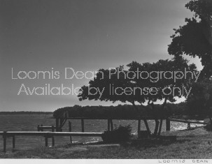 LOOMIS DEANs EARLY FLORIDA S 