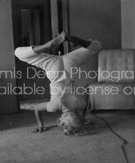 ACTRESS MAMIE VAN DOREN S 