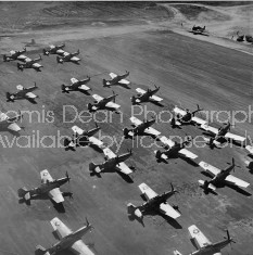 U.S. AIR FORCE WWII P51 LINEUP 2 S 135 