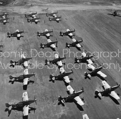 U.S. AIR FORCE WWII P51 LINEUP S 134 