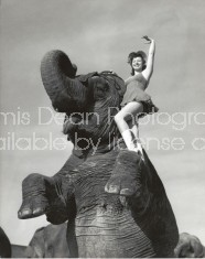 RINGLING CIRCUS REARING ELEPHANT AND SHOWGIRL 